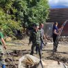  щетите в Карловско