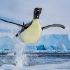 Фотографи се впускат в набиране на средства за опазване на океаните