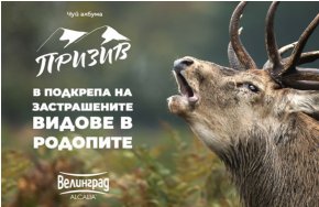   Кампанията Призив