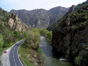 Зелените