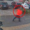 Мъж уби с ритници бездомна котка на оживена улица в Бургас