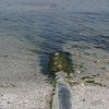 Съдът върна на прокуратурата делото за Варненското езеро заради неточности 
