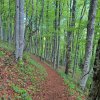 Гл. архитектка на Терзиев ще застроява Витоша: Топеколог