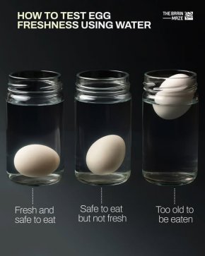 Кое яйце е прясно: Прост тес