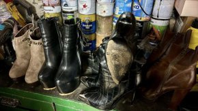   Прокуратурата повдигна обвинения и остави в ареста двамата задържани в свищовското село Царевец за жестокост към животни. Смята се, че т.нар. "Царица на мъченията" и сподвижникът й ги измъчвали, заснемали издевателствата и продавали клиповете.  Според р