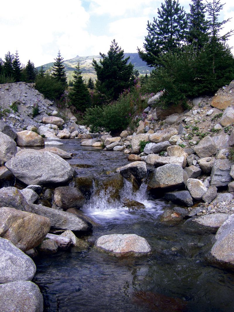 Белмекен