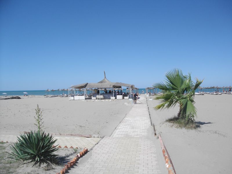Тирана