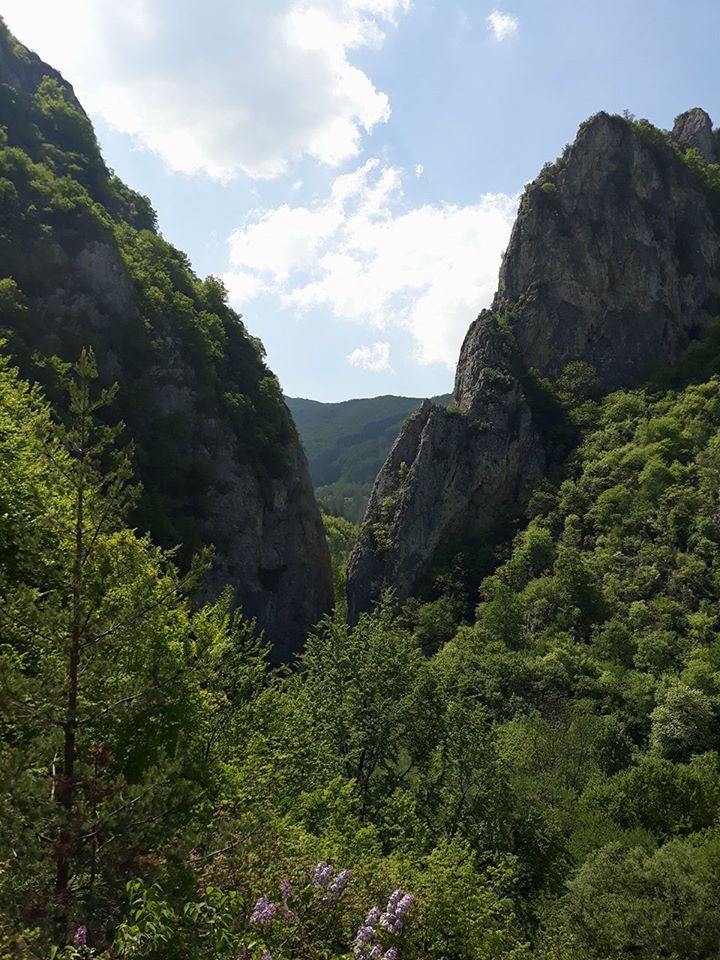 Ждрелото и Трън