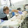 Успешна трансплантация на кожа в клиниката на Четири лапи 