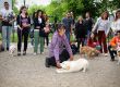 Кучетата в Пловдив тръгнаха на училище